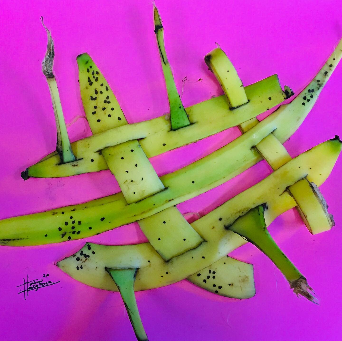 Banana Split. Bananas are radioactive.

#bananas #bananasplit #radioactive #contamination #radioactiveartist #paducah #kentuckyarts #foodforthought  #artoftheday #foodoftheday #foodporn