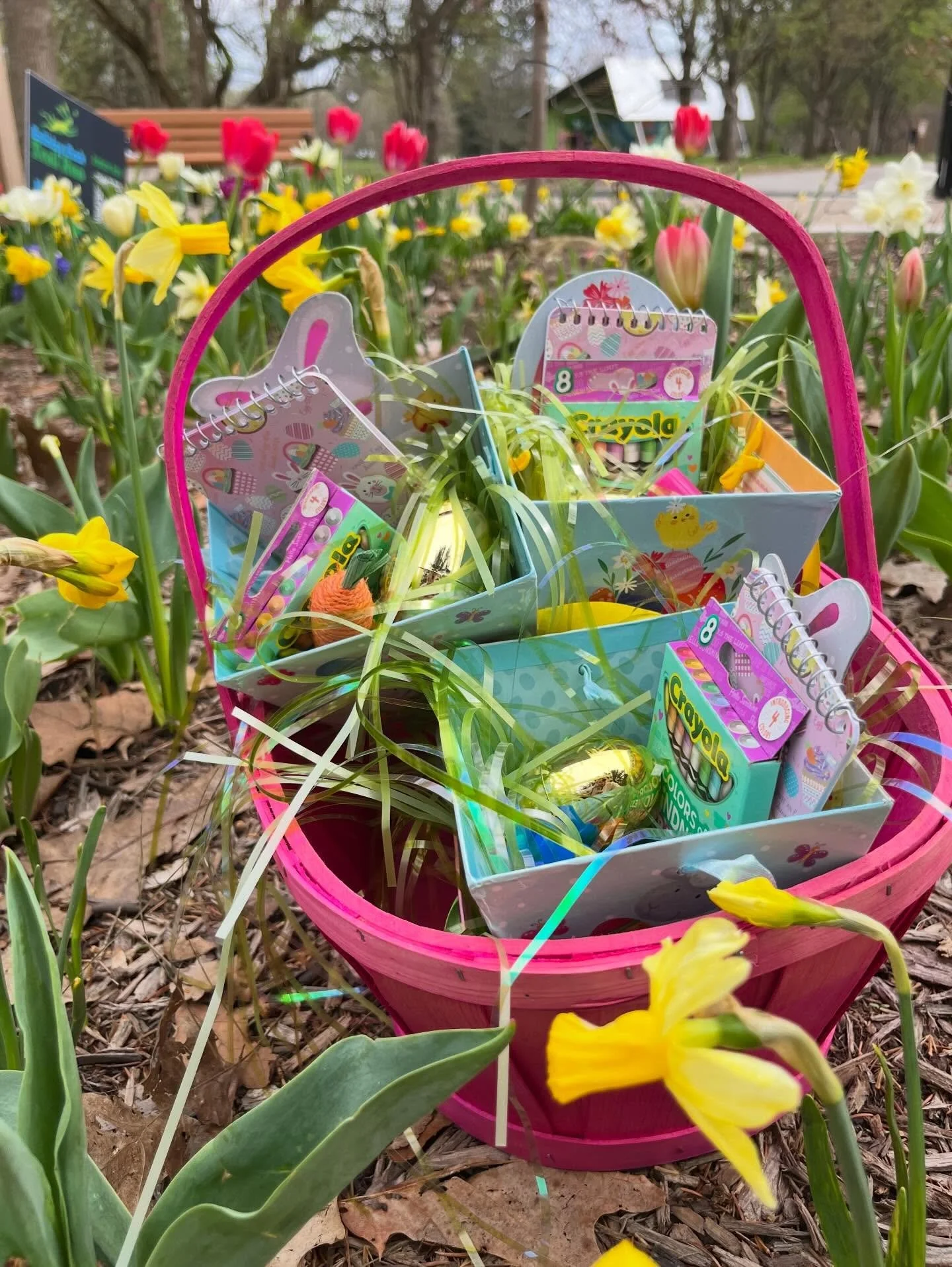 🐣✨ GOLDEN EGG HUNT ALERT ✨🐣

We&rsquo;ve hidden Easter baskets around Indy parks today&hellip;
and a few of them hold something extra special 👀

🥚 Inside the GOLDEN EGGS:
&rarr; 2 FREE Summer Art Camp spots (!!)
&rarr; 3 FREE Art Caf&eacute; pass