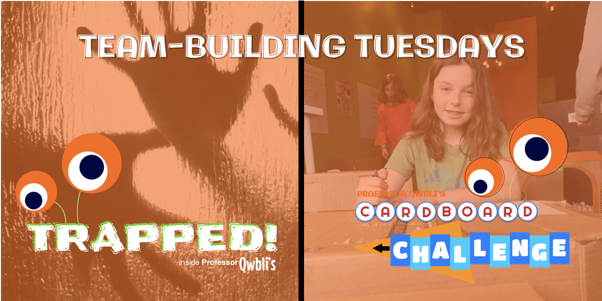 teambuildingt.png