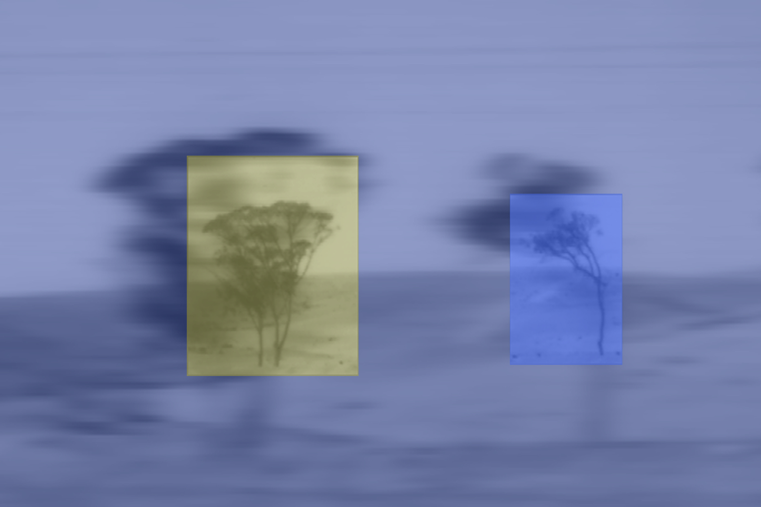 Deserted trees