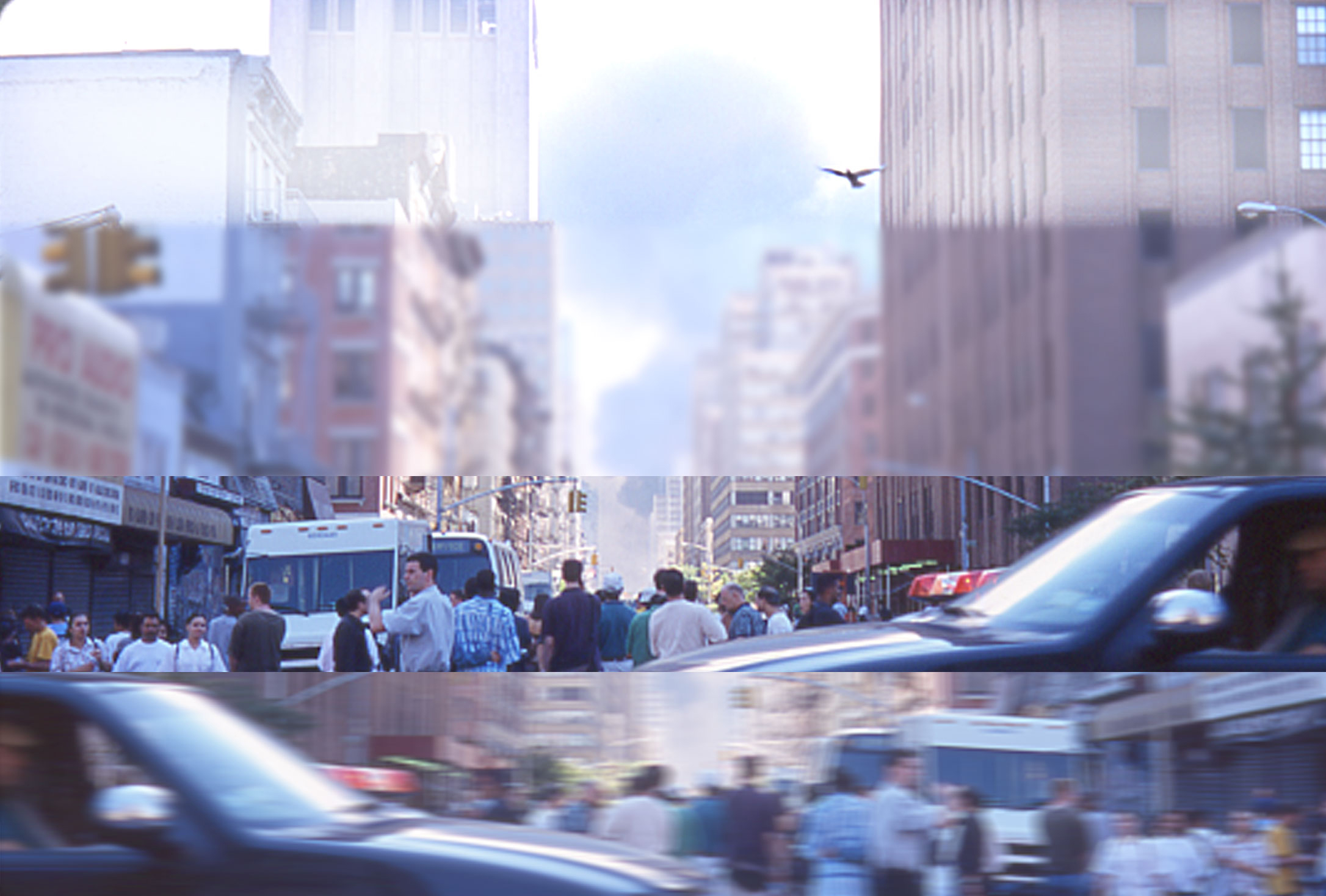 Bird, NYC 9/11
