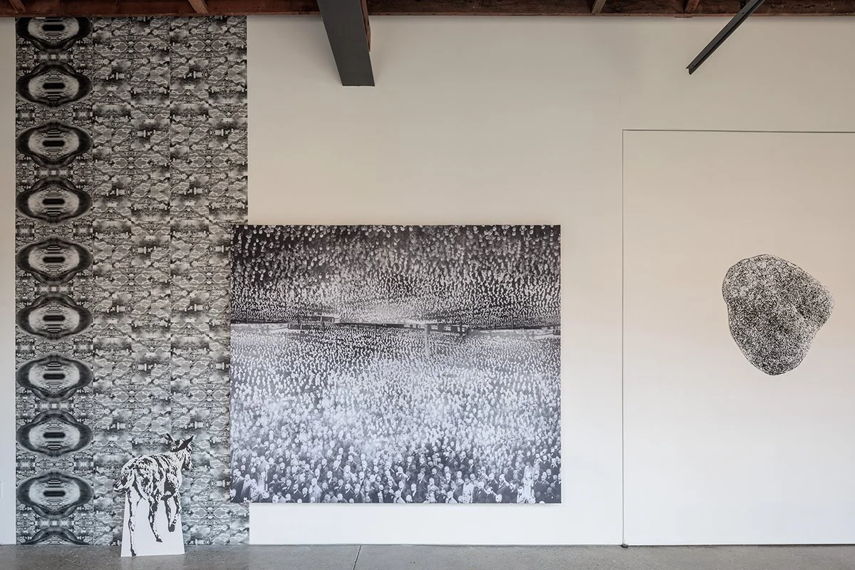 Broken glass is good for you - exhibition installation shot photo credit: @Alon-Koppel-Photography