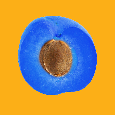 apricot.png