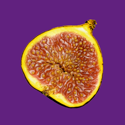 fig.png