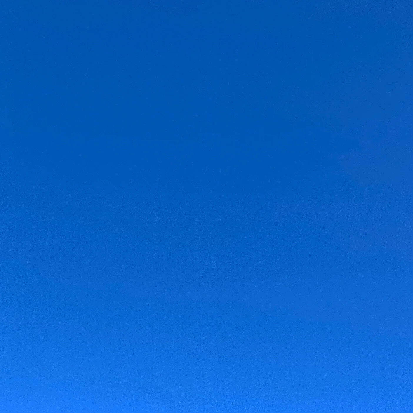 1012.JPG