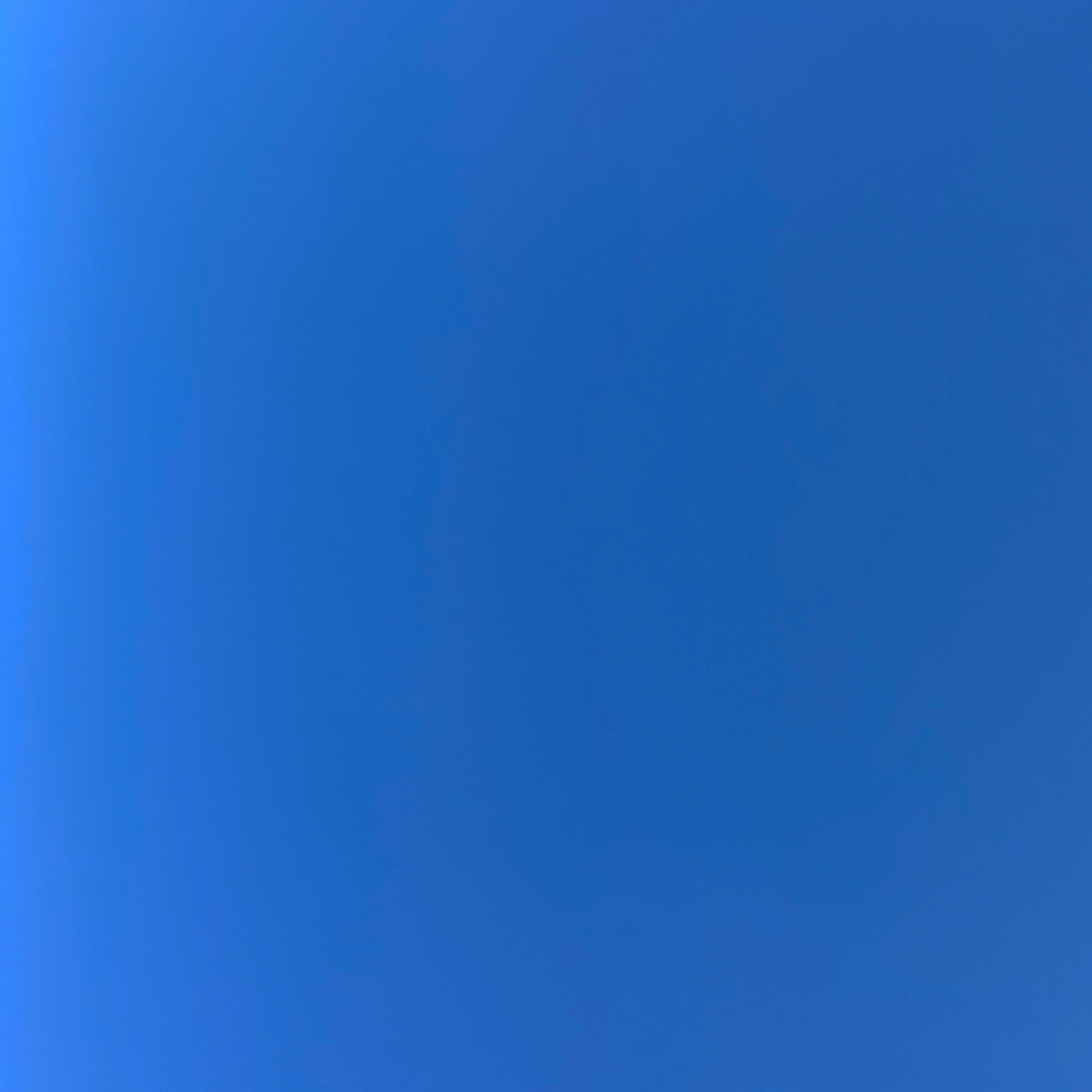 1013.JPG