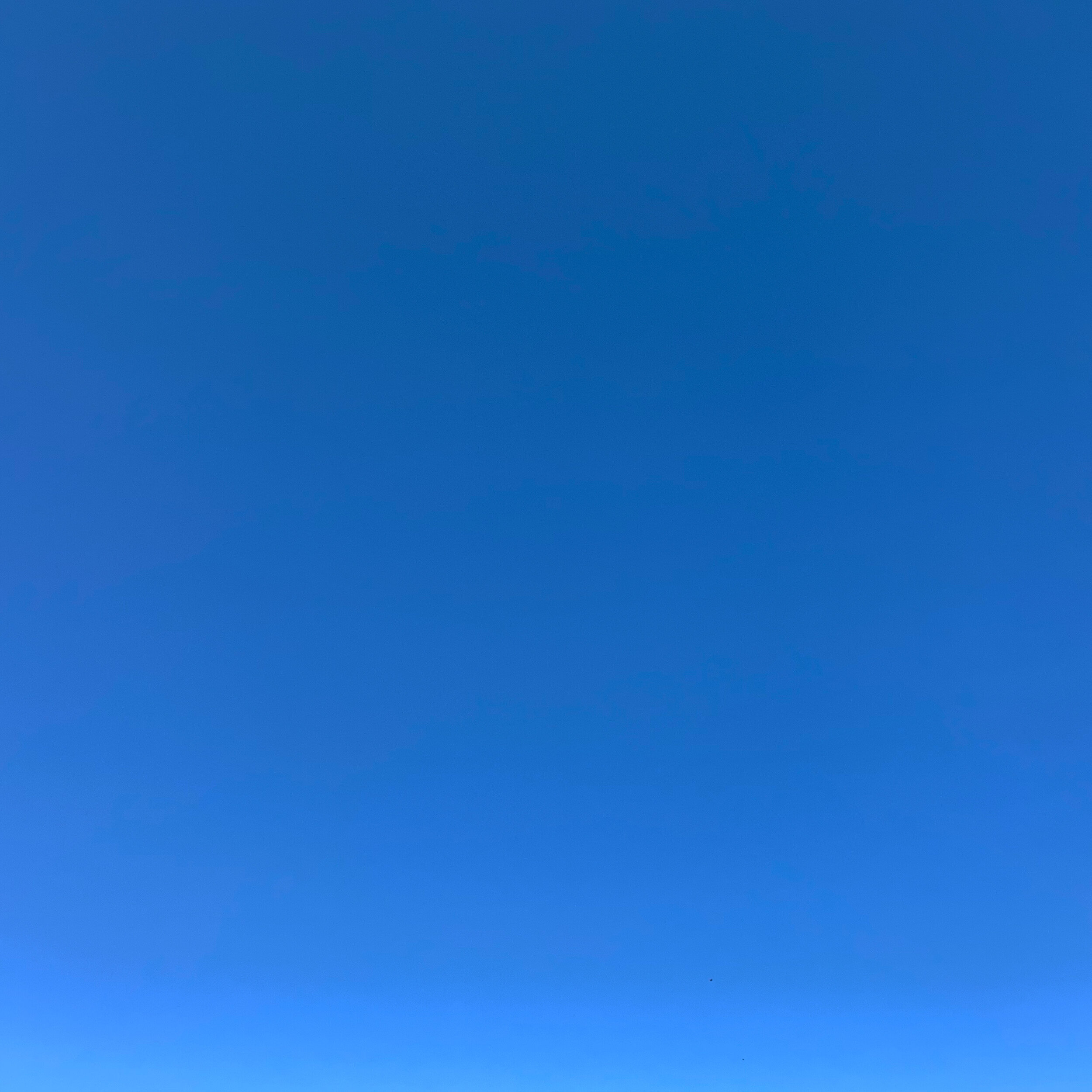 1030.JPG