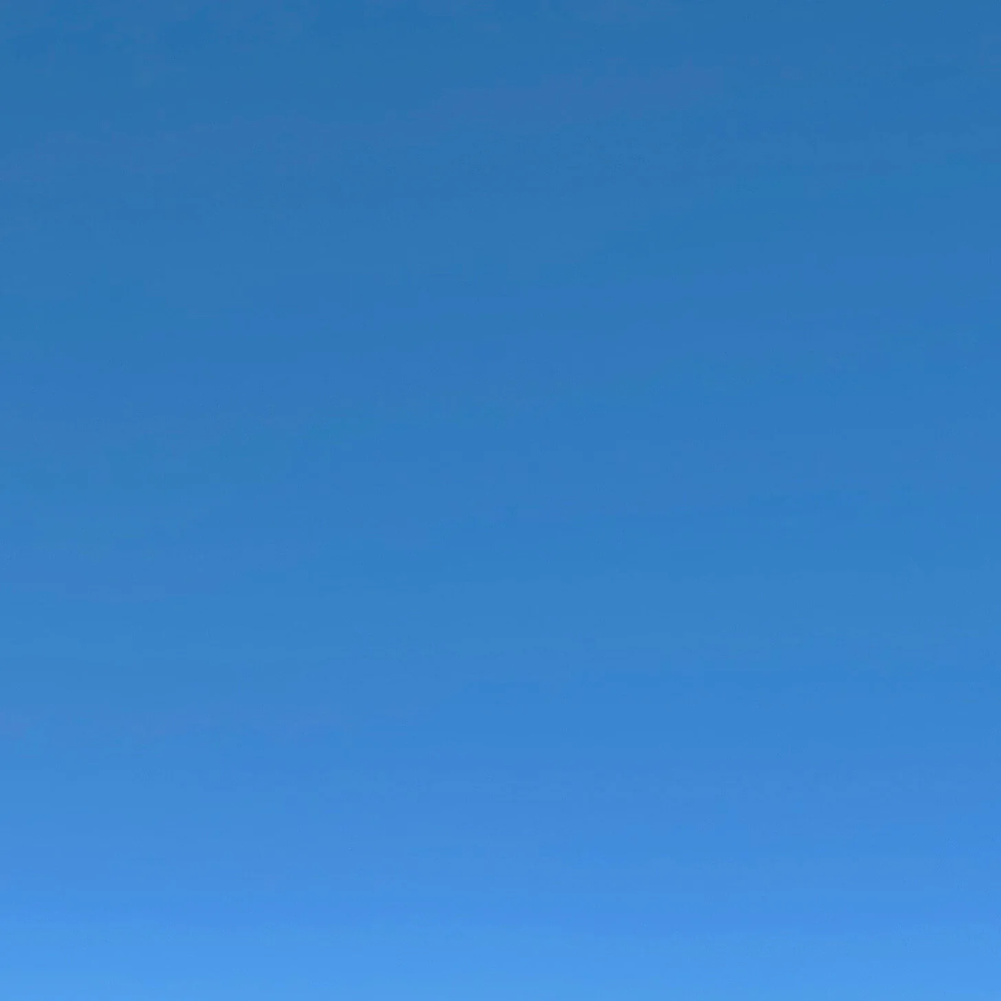 1105.JPG
