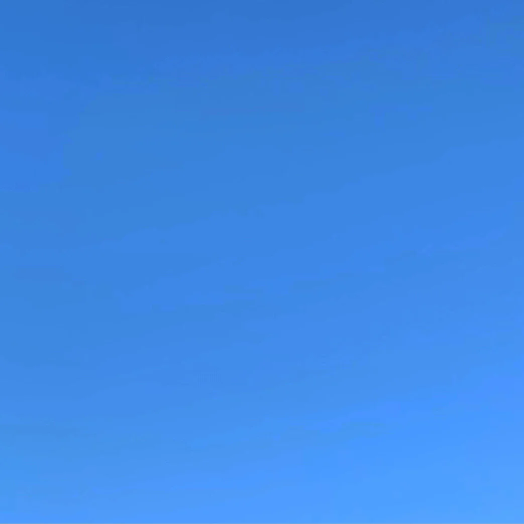 1116.JPG
