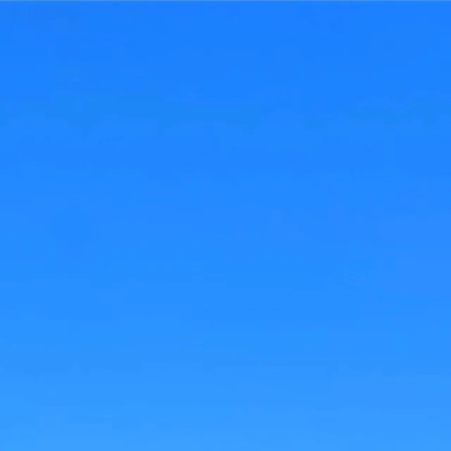 1124.JPG
