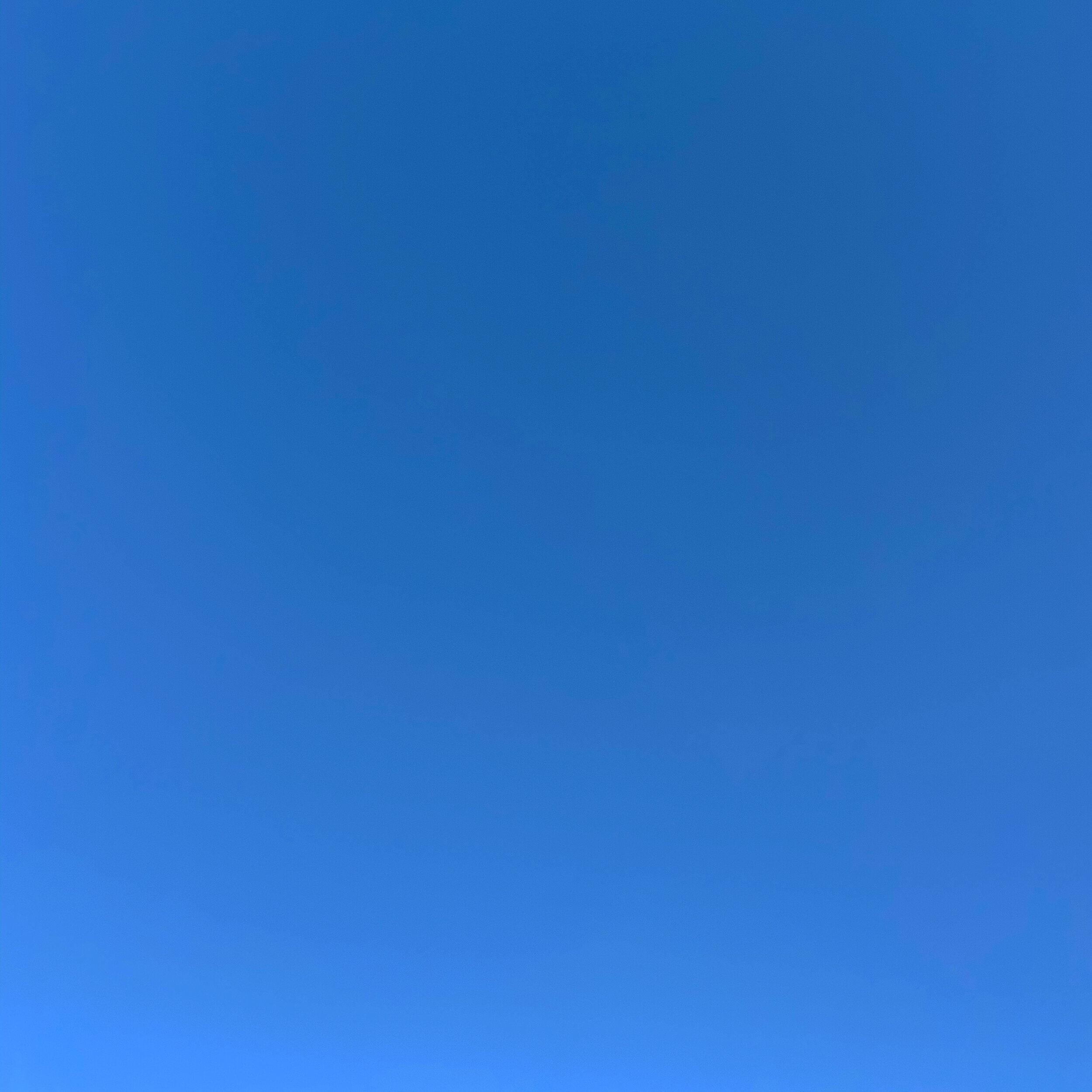 1220.JPG