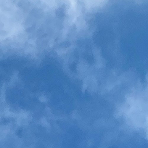 0202.png