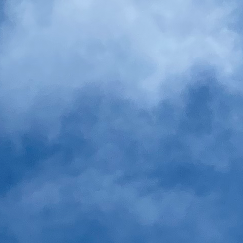 0205.png