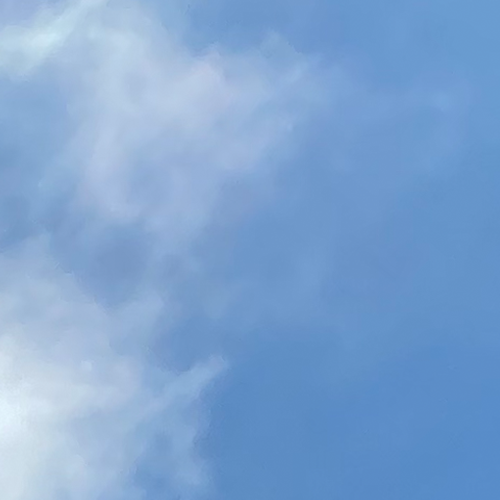 0209.png