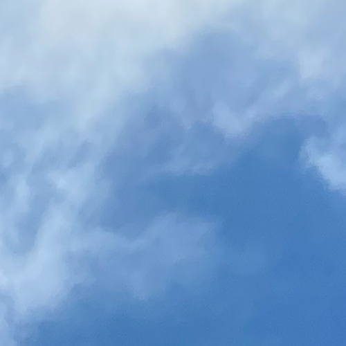 0216.png