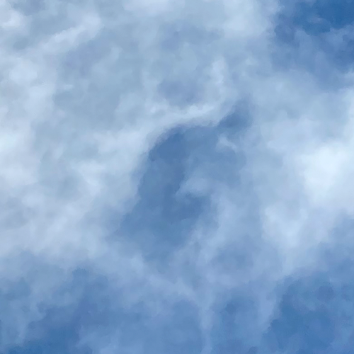 0311.png