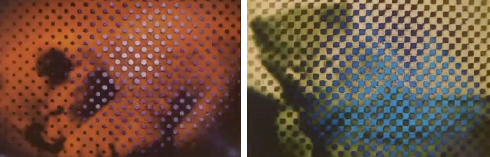 Stills From Zip Tone Cat Tune, 1972