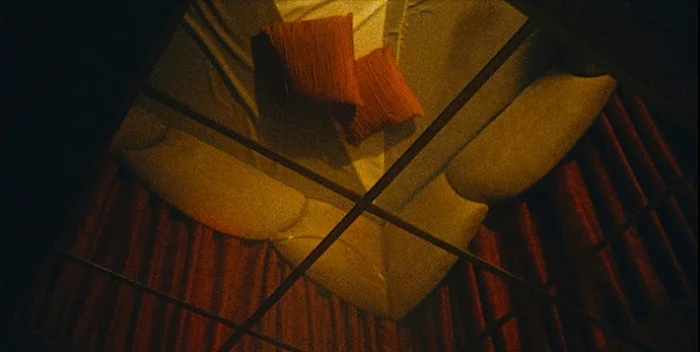 (Still image : The Pimp And His Trophies, 2014 – Antoinette Zwirchmayr)