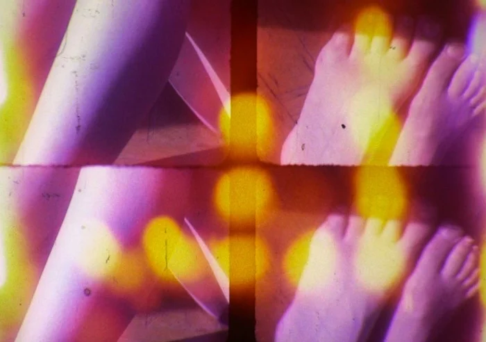 (Still image : Starfish Aorta Colossus, Lynn Sachs & Sean Hanley, 2015