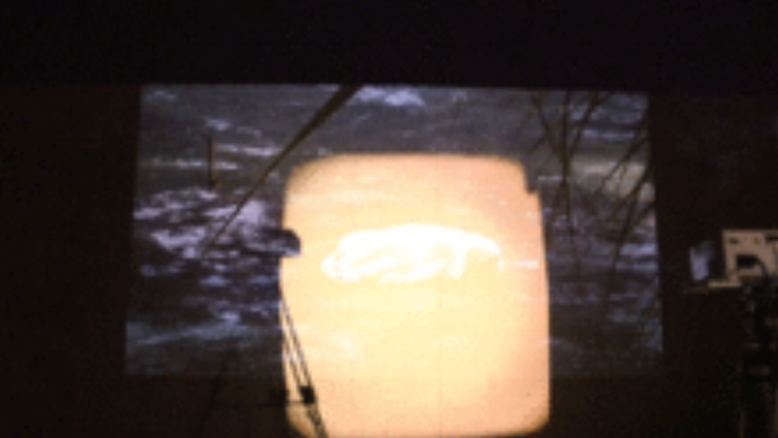 806882-250.gif