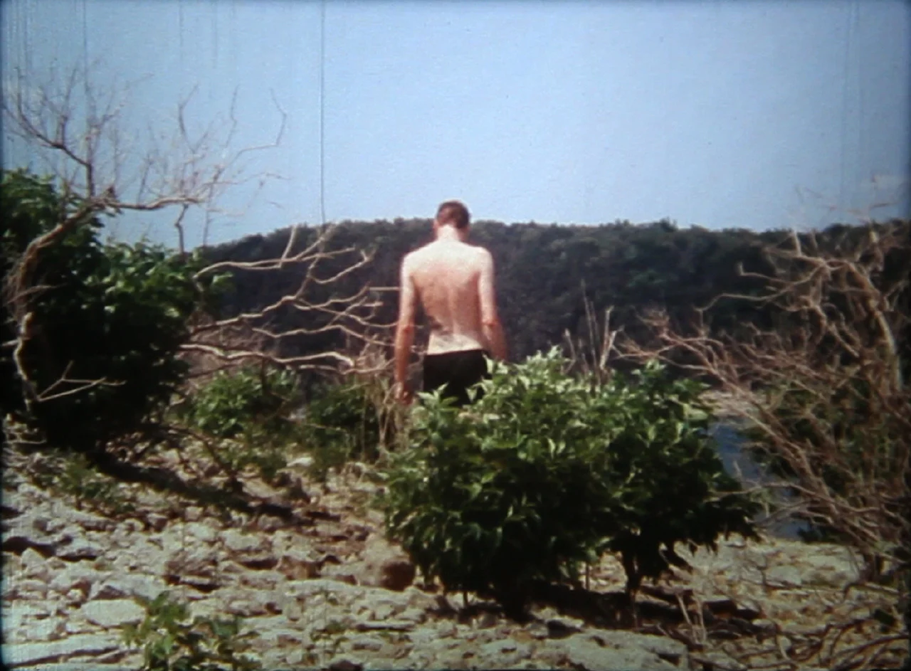 The Birds of Chernobyl_preview.jpeg