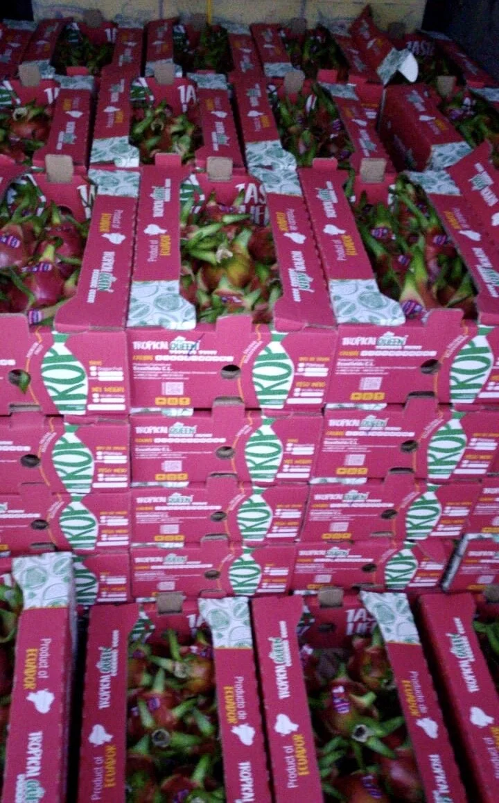 005320ef-72e9-450d-a8ad-bd8e34618014 2.JPG