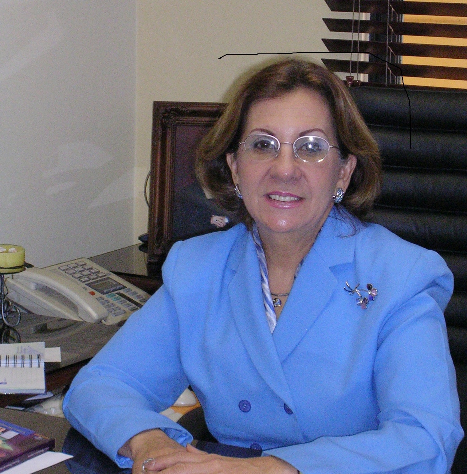 CONSEJO 2001-2003 Rosa Campillo Presidente