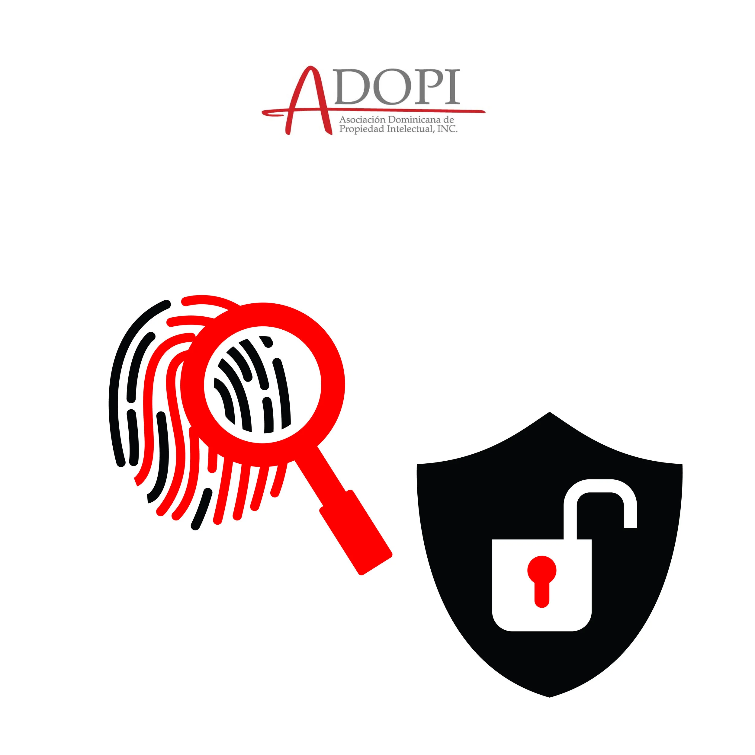 Highlights ADOPI-08.jpg