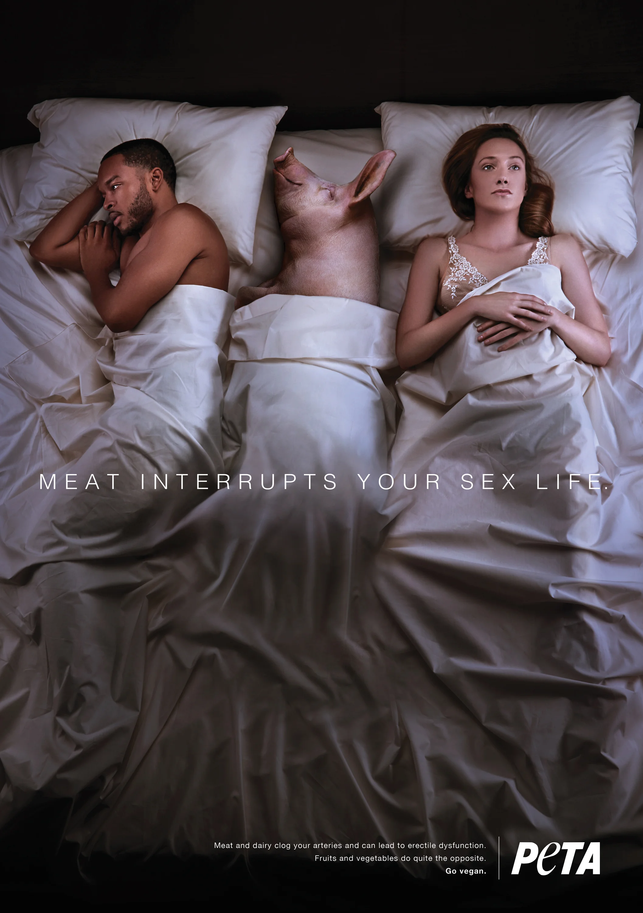 PIG.jpg