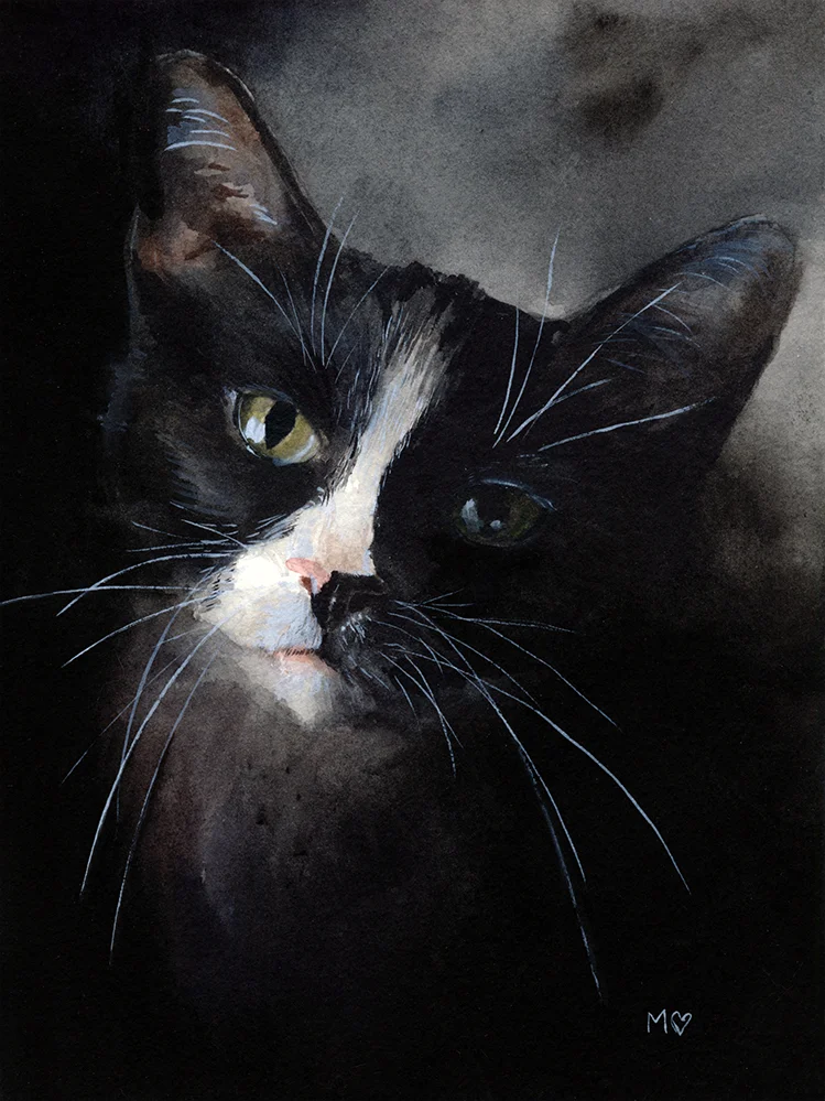 CatAnnaWEB.jpg