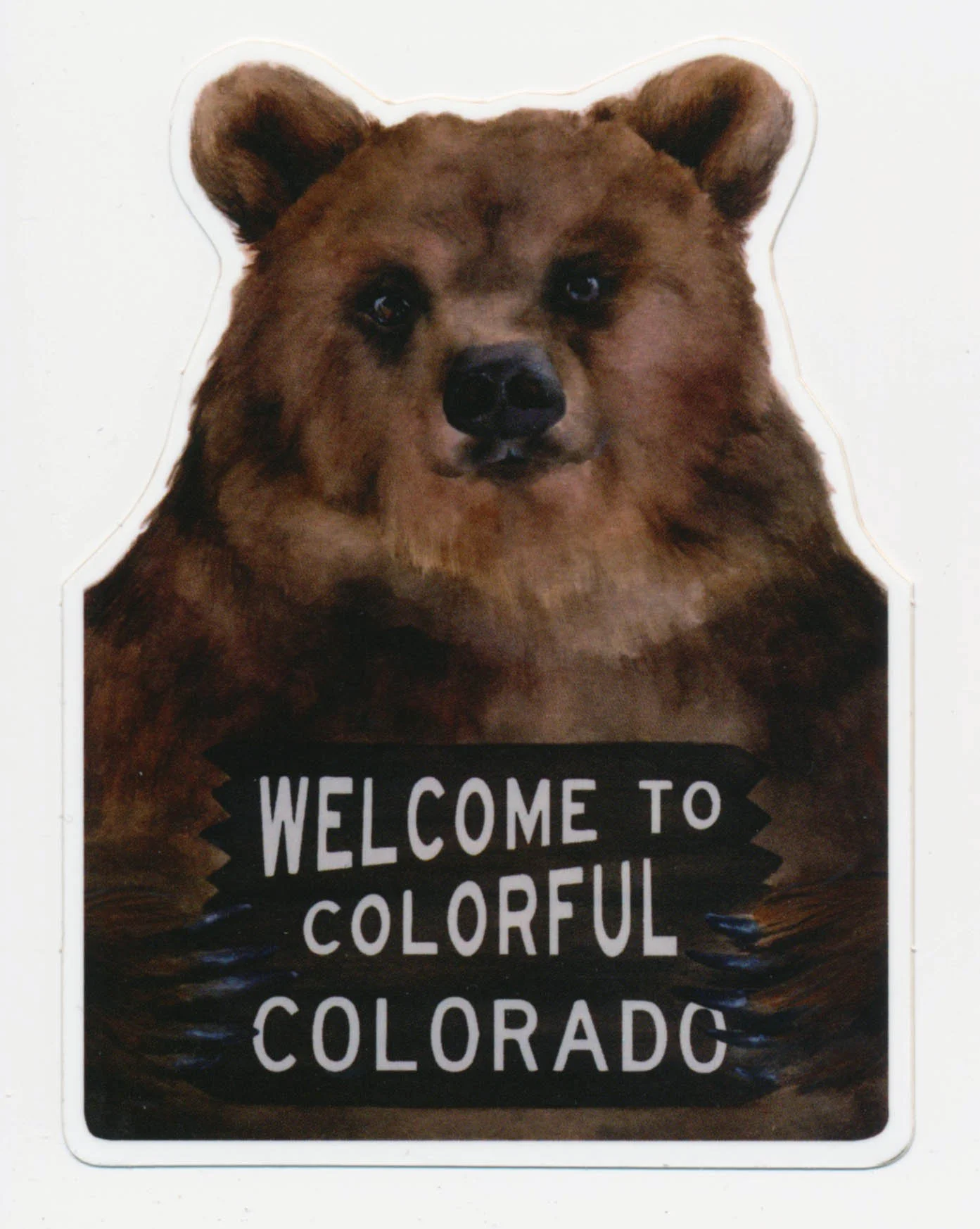 Colorado Bear Sticker