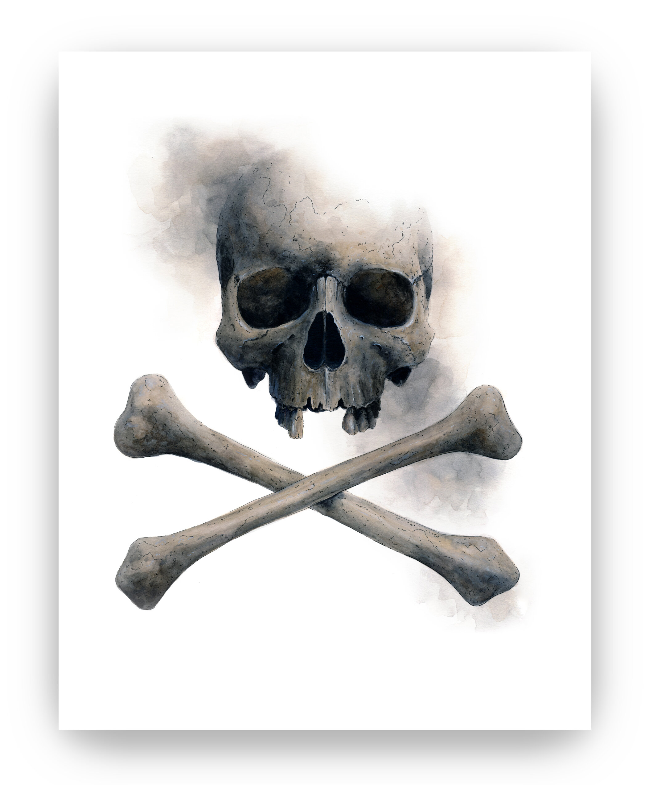 The Art of Skull and Bones