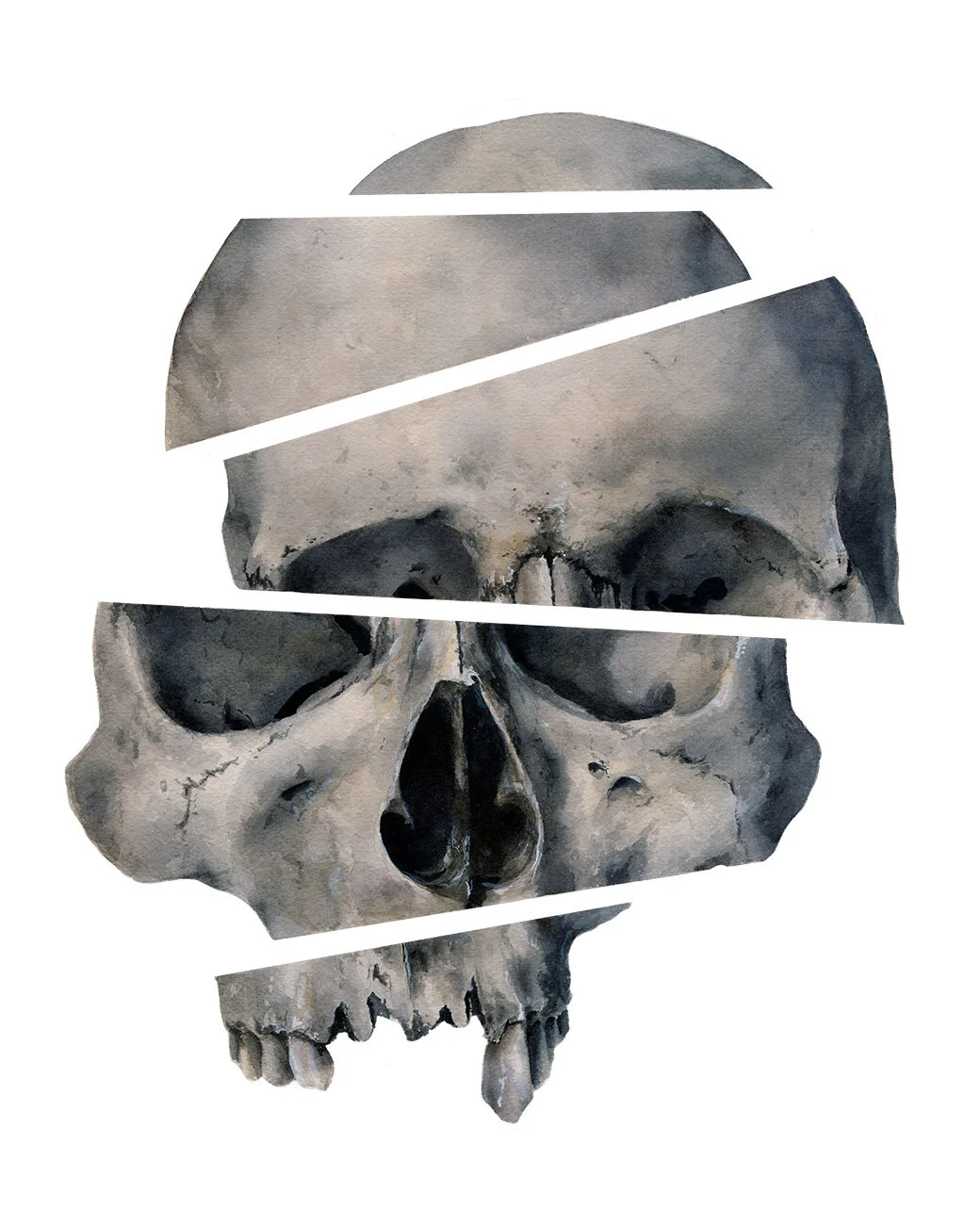 Sliced Skull
