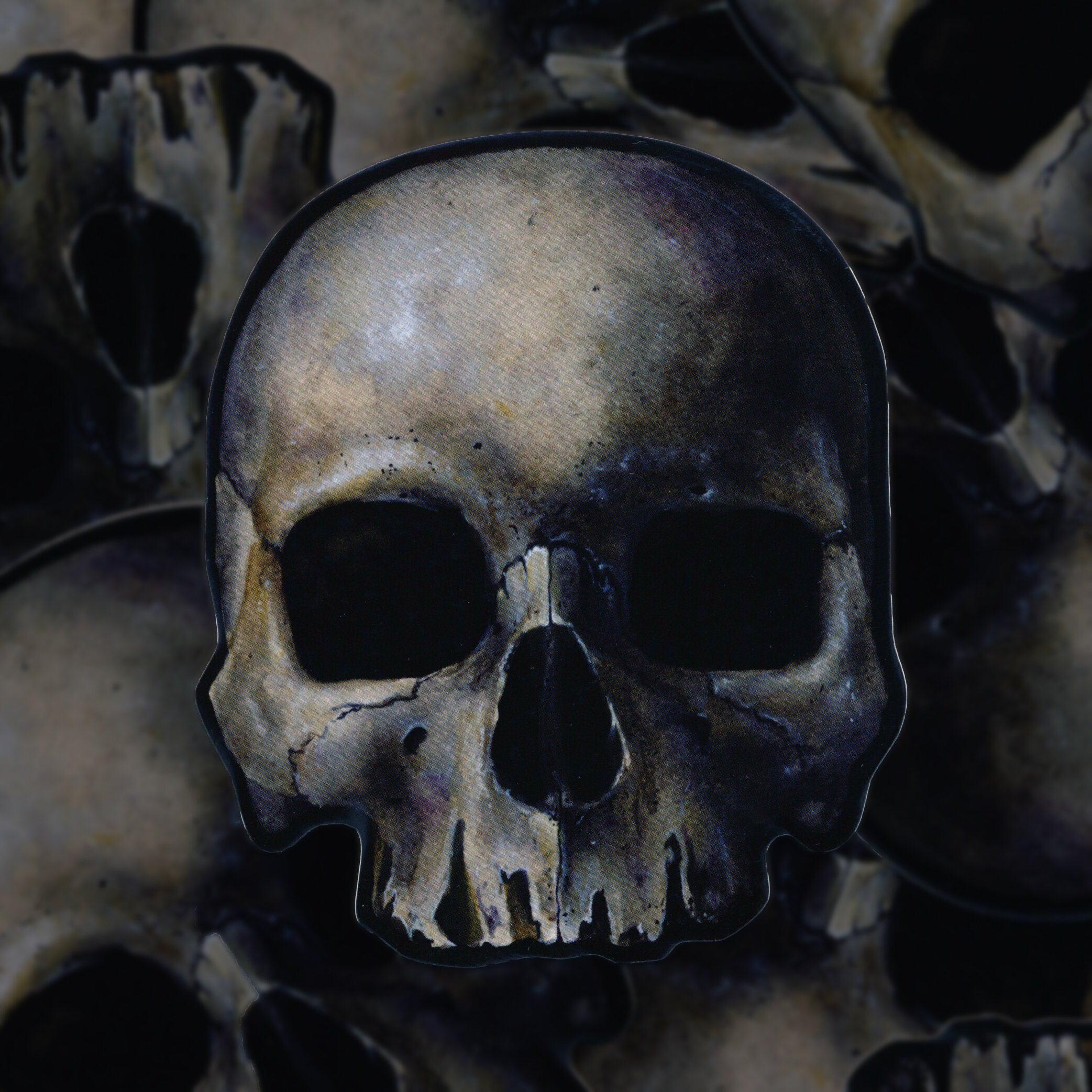 Black Skull 2.0 Sticker