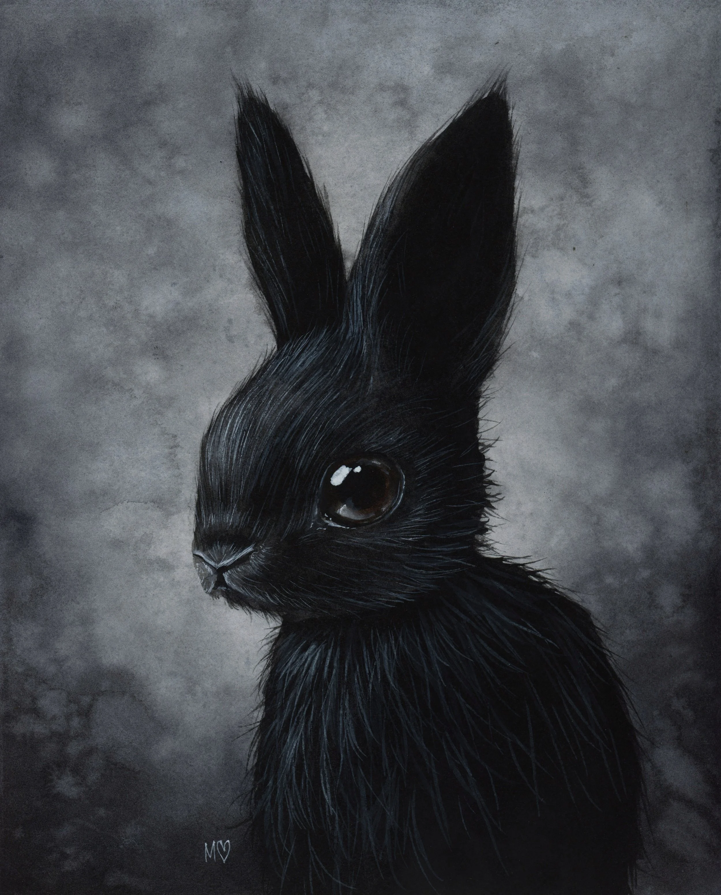 Black_Bunny1.jpg