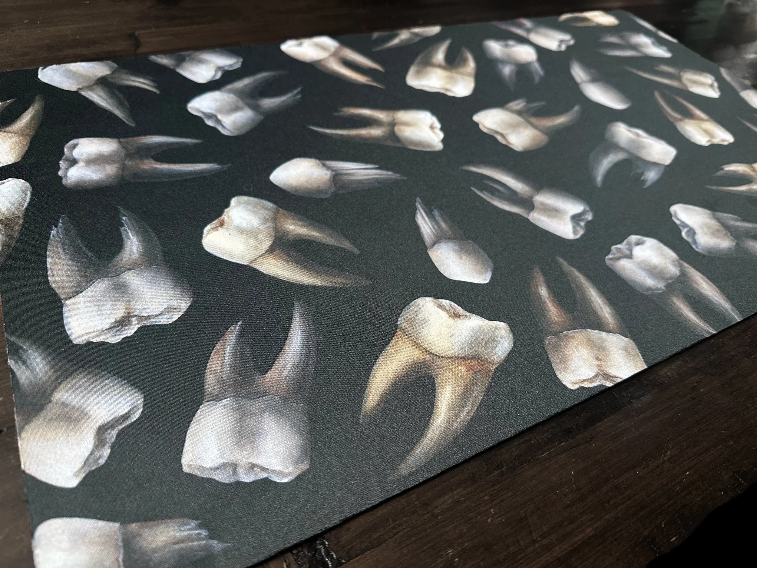 Teeth_Playmat_Photo_2.jpg