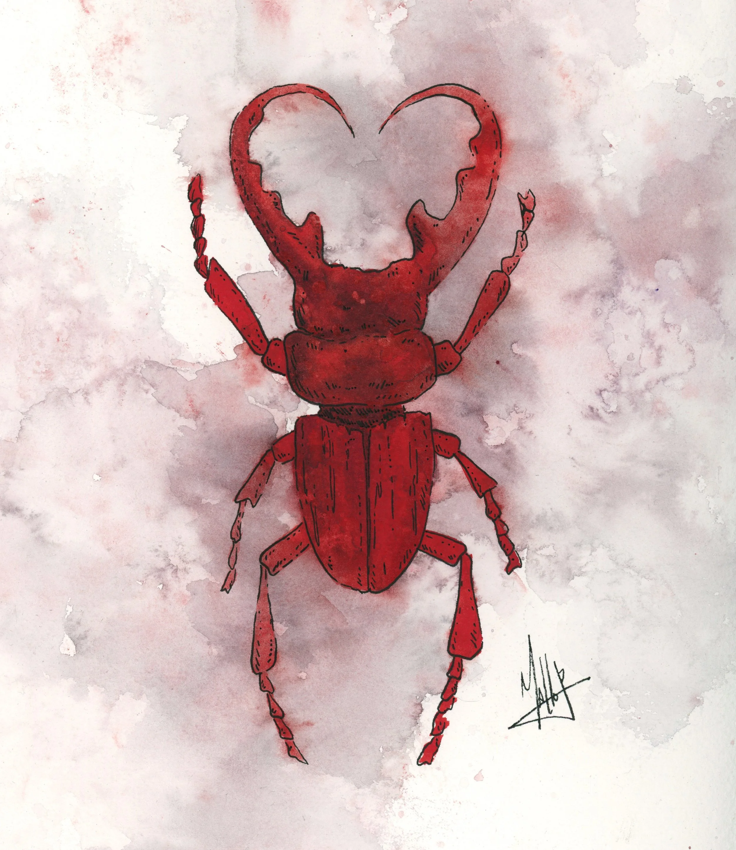 Red beetle