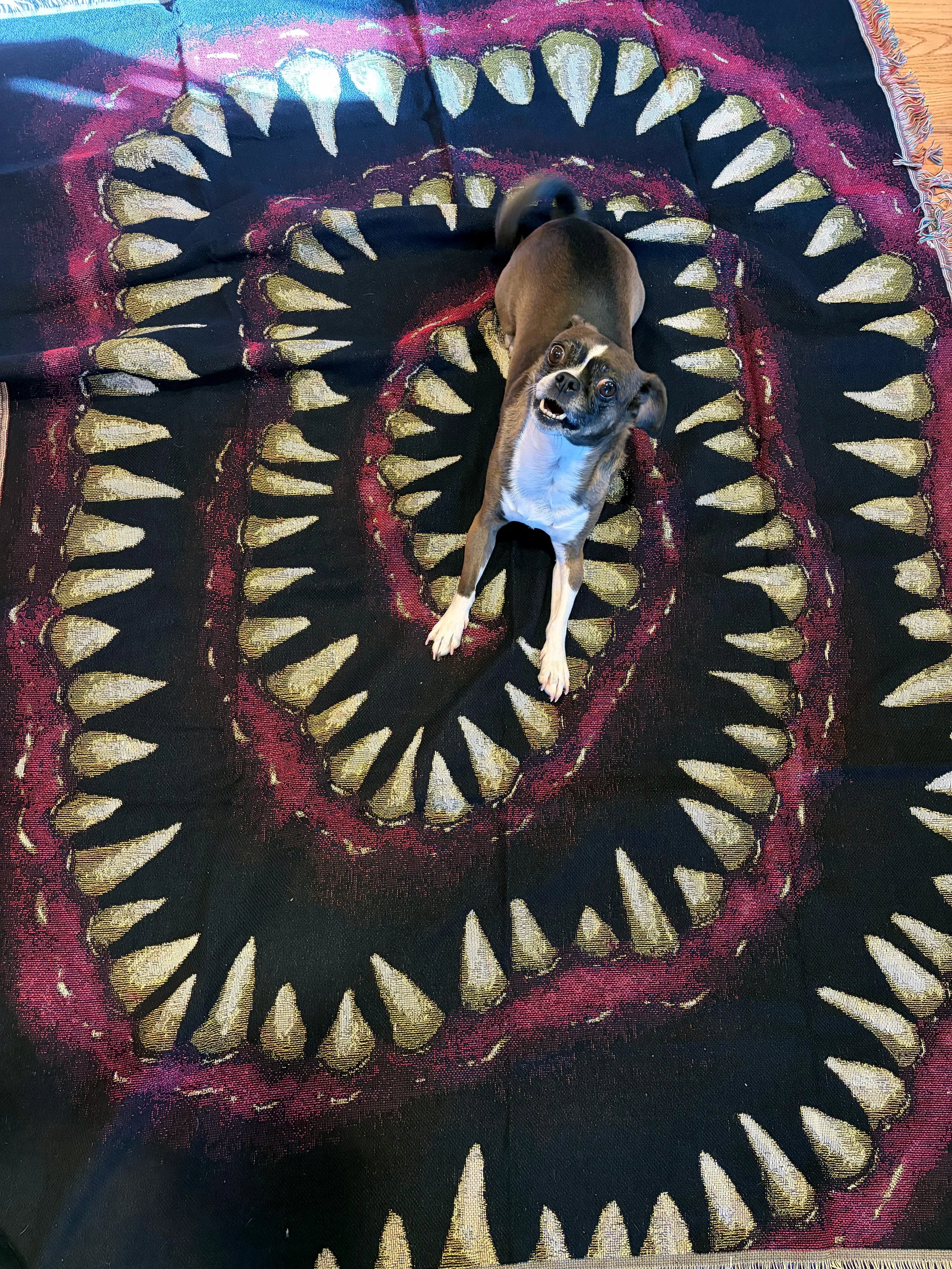 Spiral_Dentata_Blanket_Bev.jpg