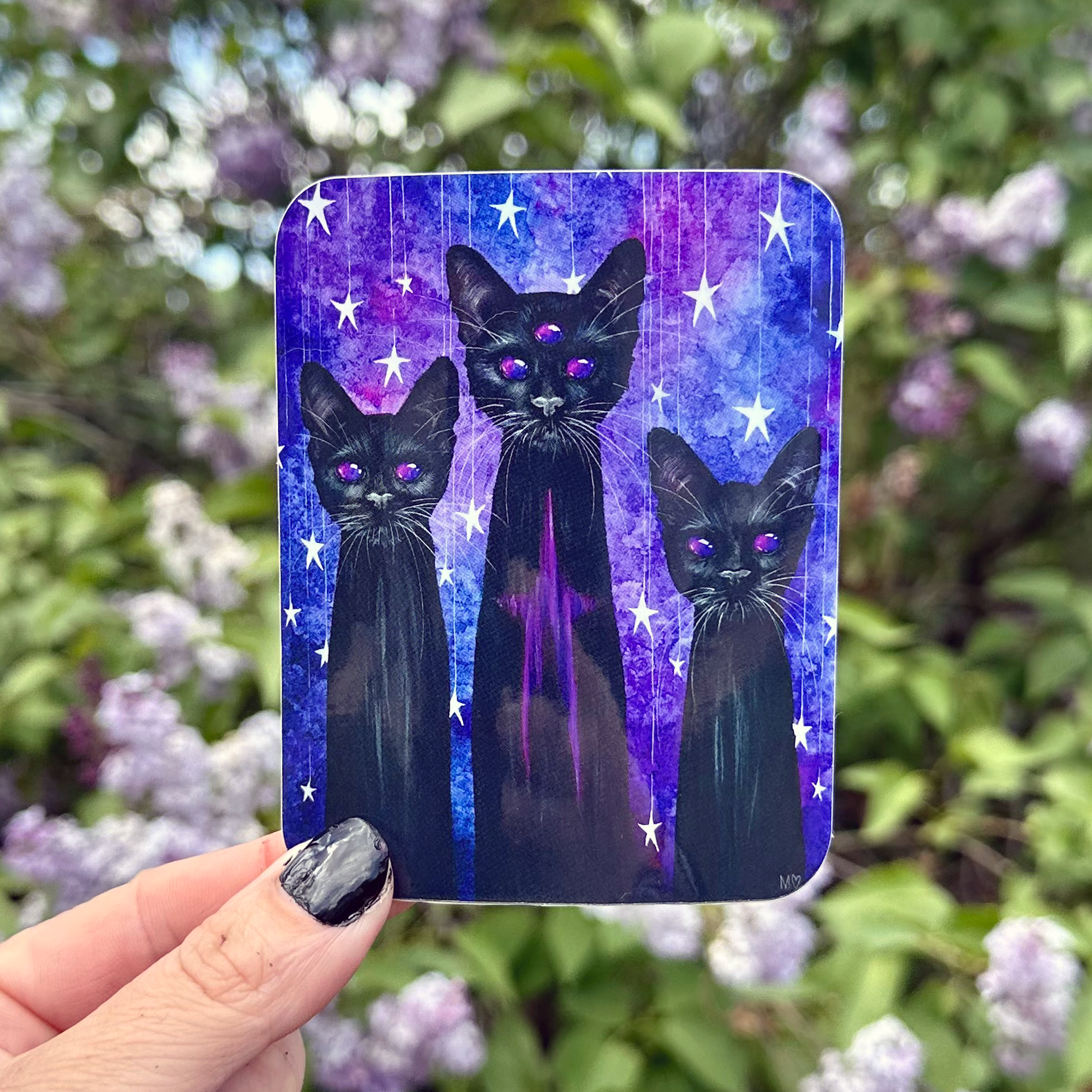 StarCatsSticker.png