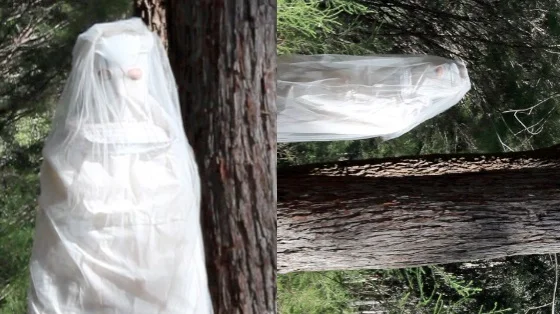 A resignation (video still) performance and footage by Emily Walder, Edited by Amelia Skelton