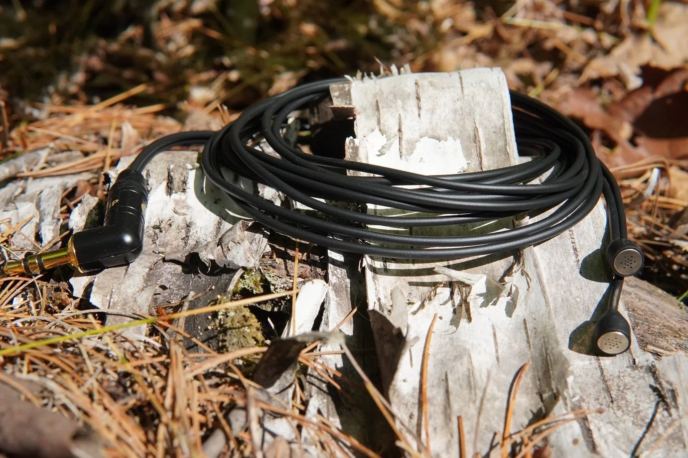 O-Mini Pip Forest Floor.JPG