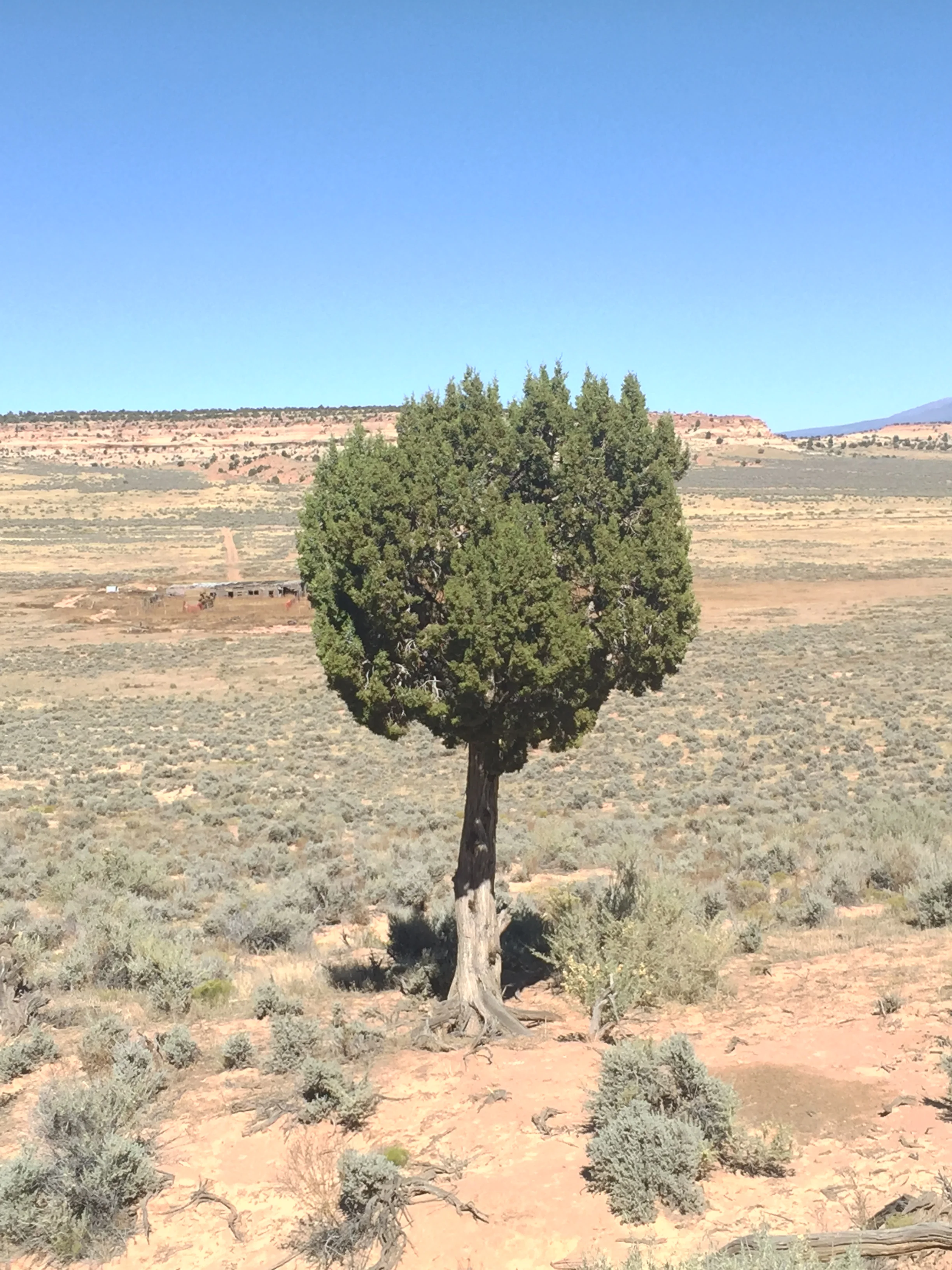 2015-10-14 12.39.36 HDR.jpg