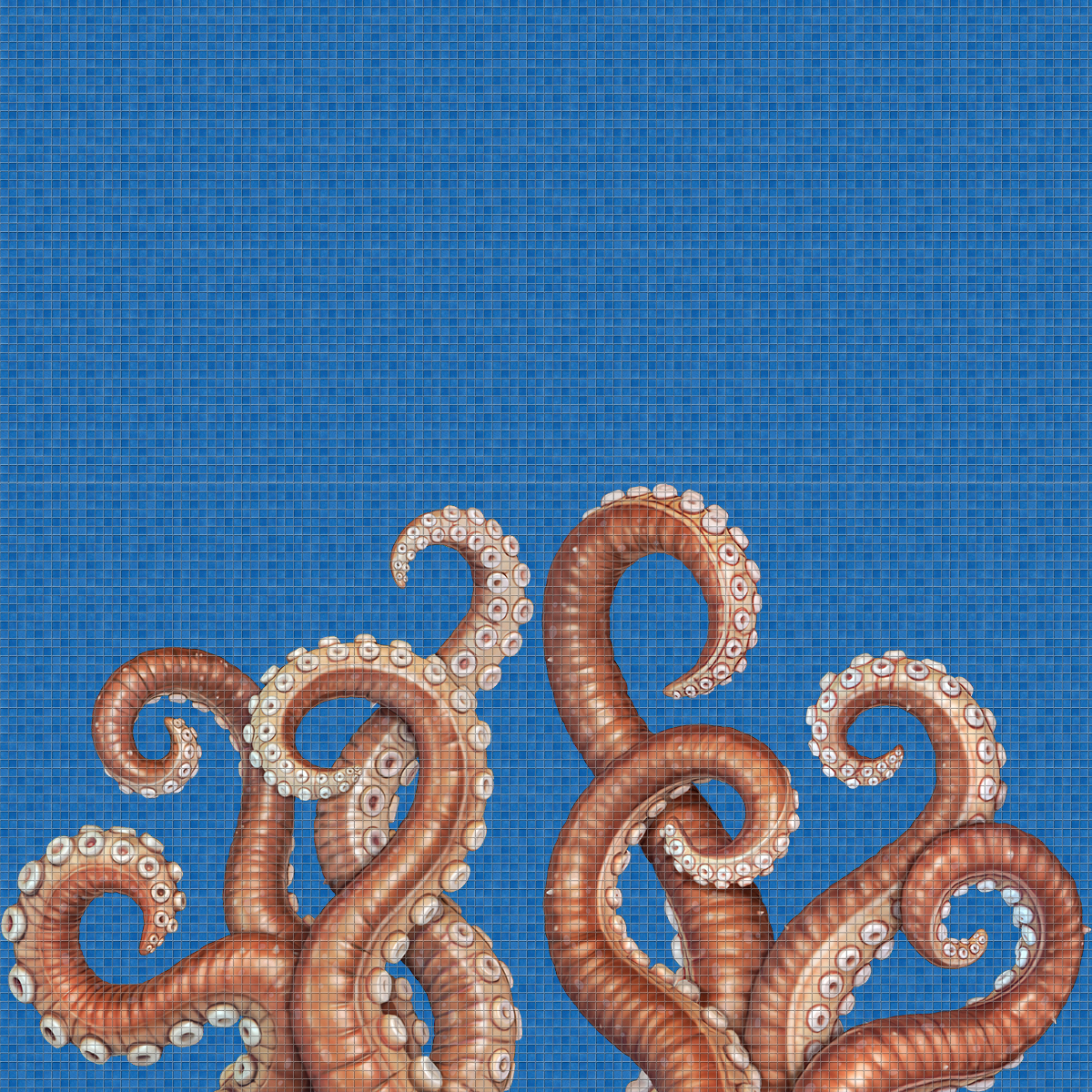 Octopus-Digital_Print-Mosaic-Ezarri.jpg