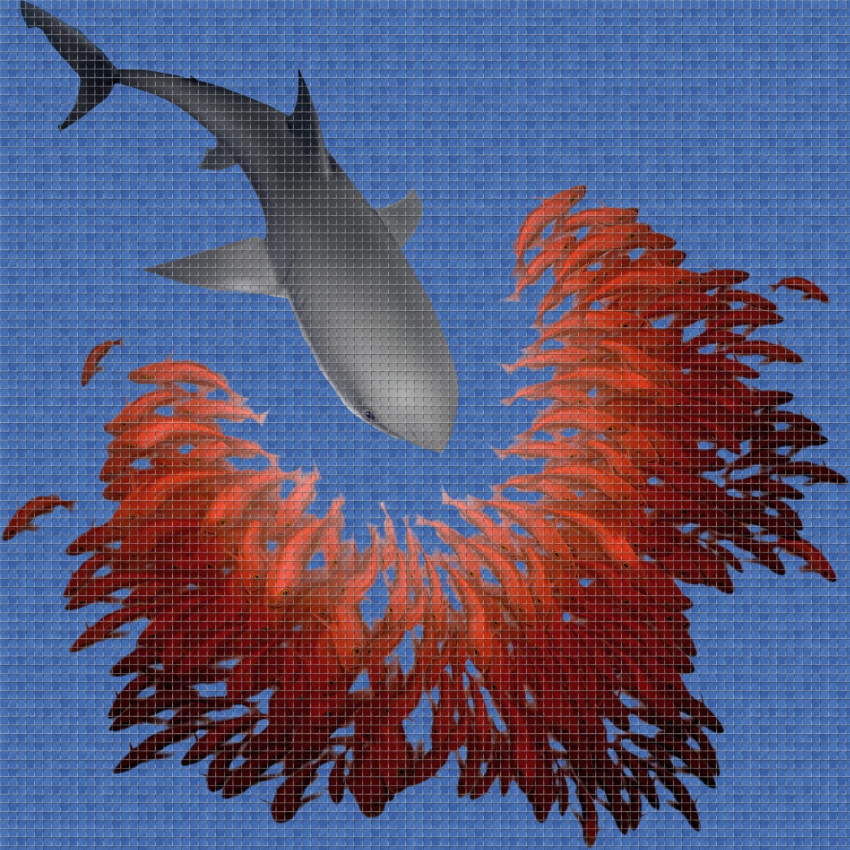 Shark-Digital-Print-Mosaic-Ezarri.jpg