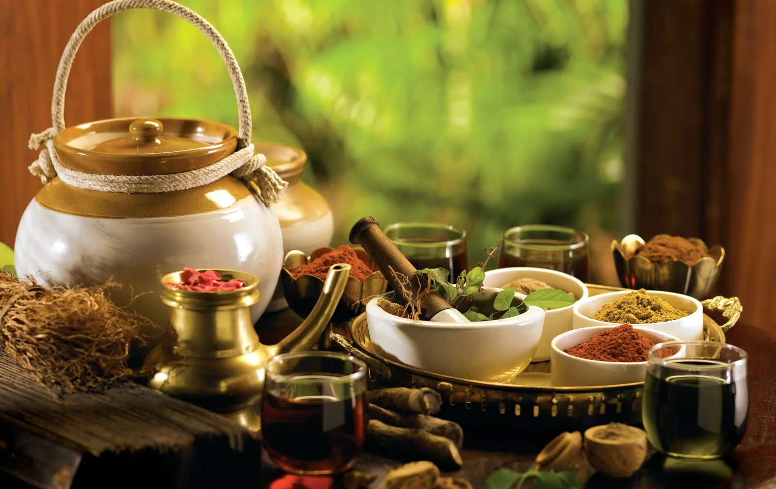 Ayurveda - Lecture / Demonstration