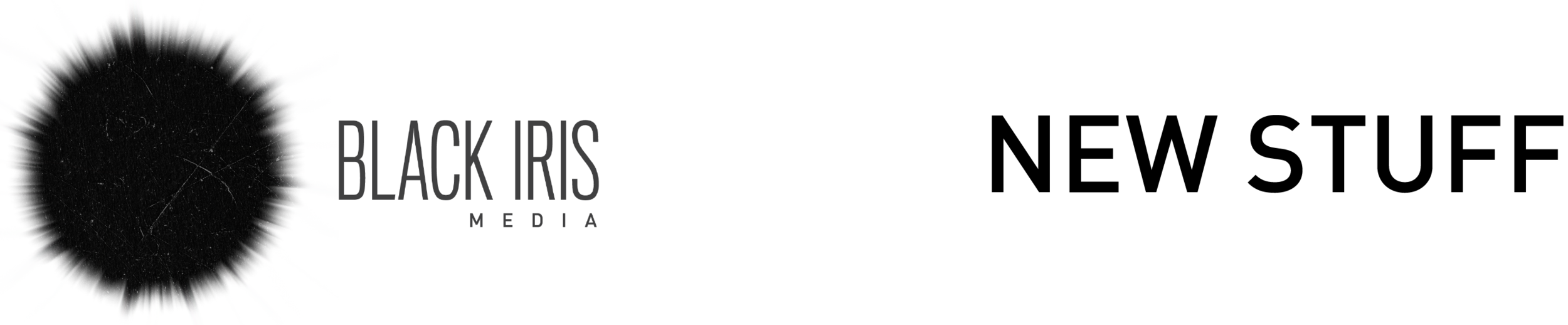 TITLE BAR FOR WEB.png