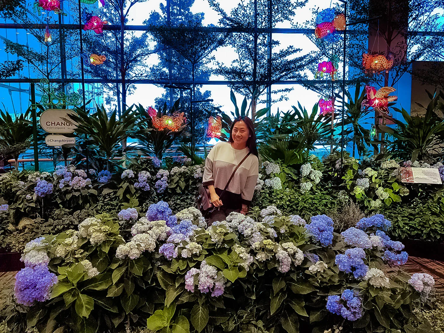 in Changi Airport, Singapore
