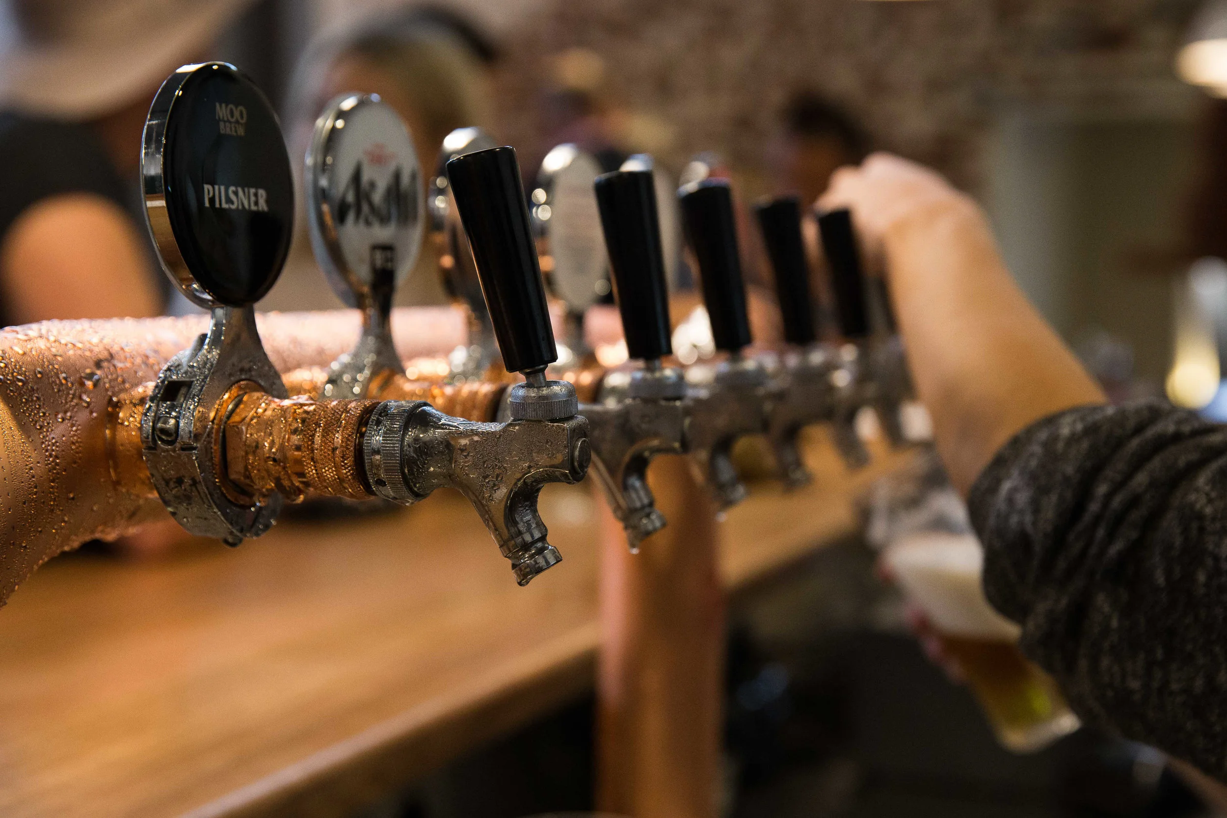 Nina Hamilton-Tasmanian Photographer-RFAP-14.jpg