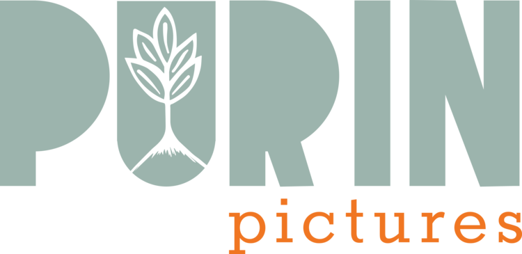 Purin Pictures is a film fund under Purin Foundation managed by Thailand's Anocha Suwichakornpong and Aditya Assarat. Since 2017, Purin Pictures has supported independent Southeast Asian cinema with the aim of searching for Southeast Asian artists a…