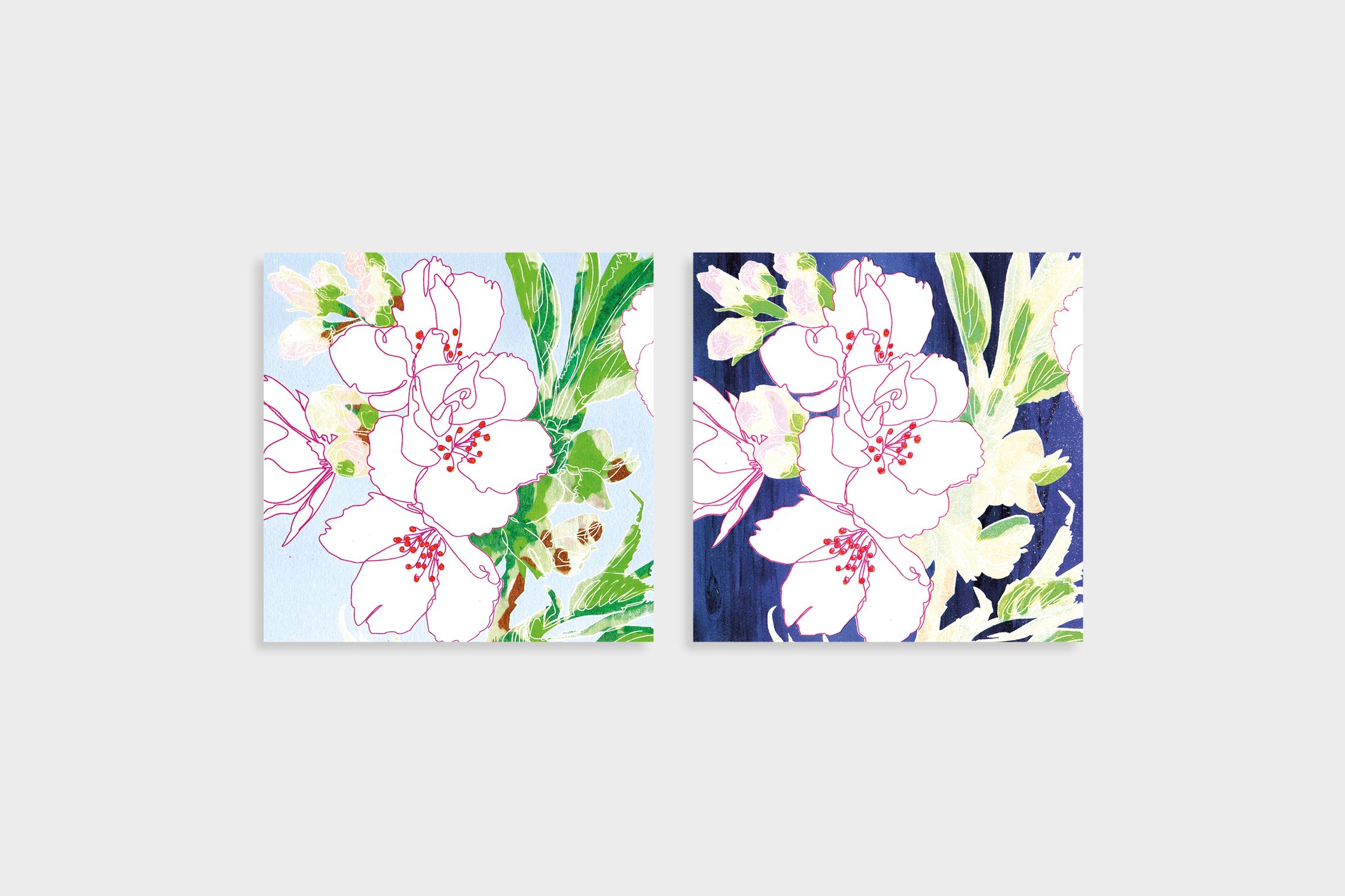 Cherry Blossom greeting card